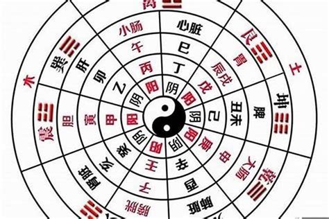 陰土人|易經八字